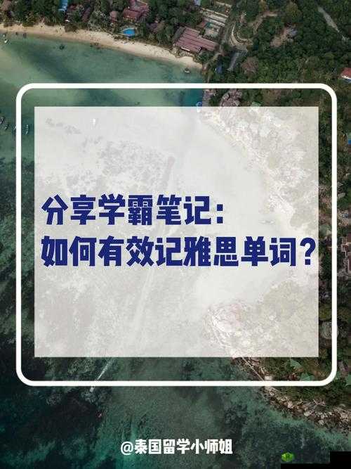 在学霸的大紫根上背单词，效率超高