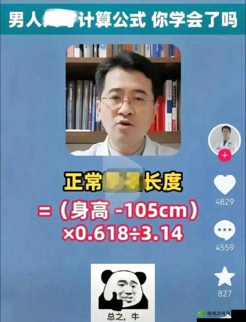 17c15.cm 换哪了:探寻其踪迹