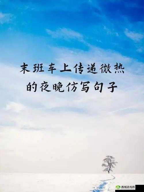 末班车上传递微热的夜晚:一段温暖的旅程