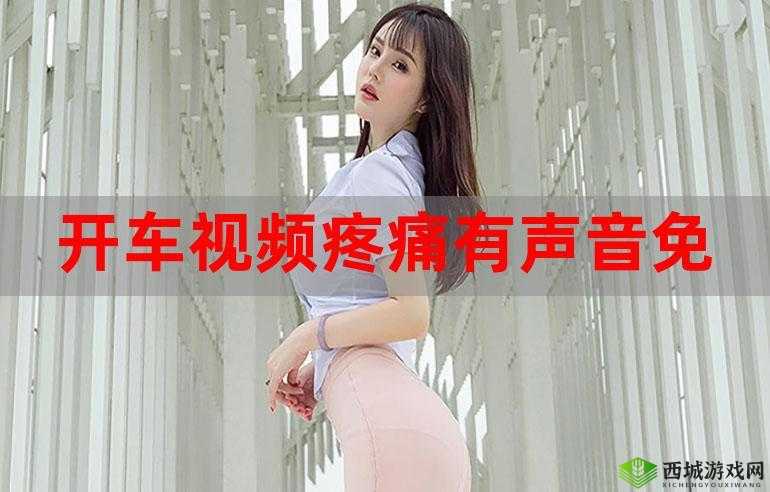 开车视频疼痛有声音免费软件不用下载相关资源