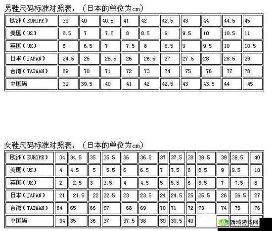 日本 L 码与中国码区别解析