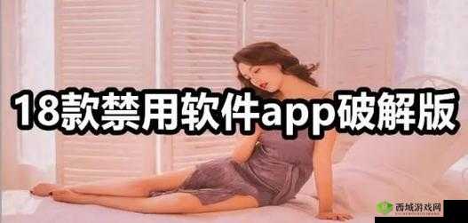 夜里十大禁用软件 APP 下载：畅享精彩无需受限