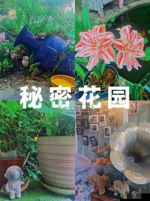 大手往秘密花园探去寓意究竟为何