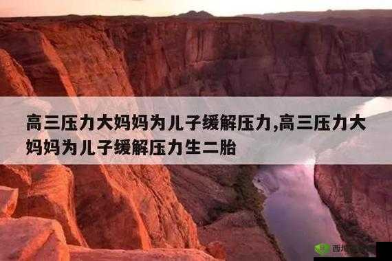 母亲跟高三儿子同睡缓解压力:这种做法合适吗