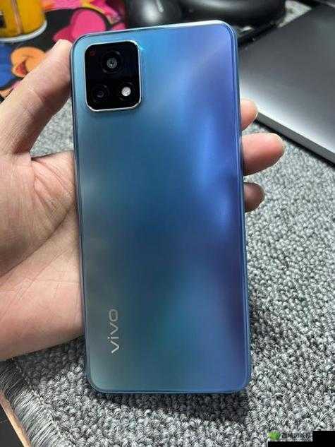 成色好的 y31s 标准版官网:品质之选