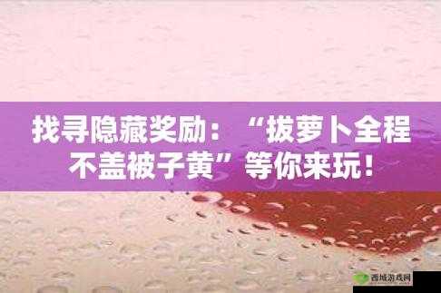 拨萝卜不盖盖子:真的合适吗