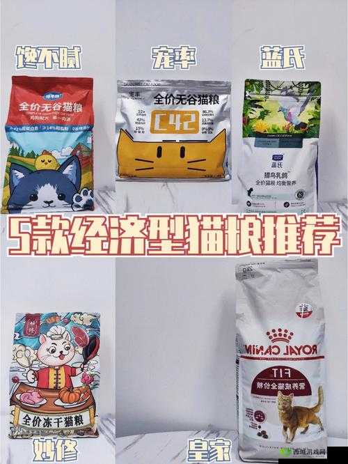 丰裕纵满 2588 港版:一款极具特色的产品介绍