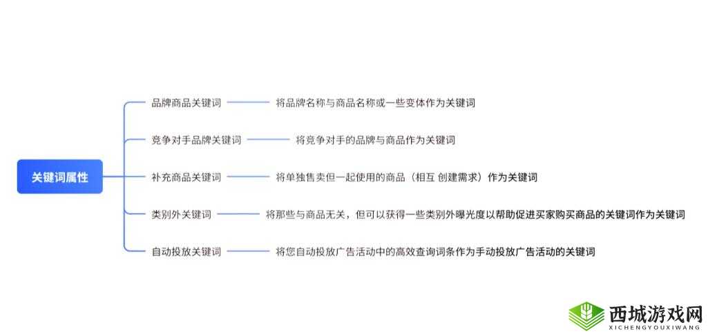 探索关键词的奥秘,一场心灵与智慧的旅行