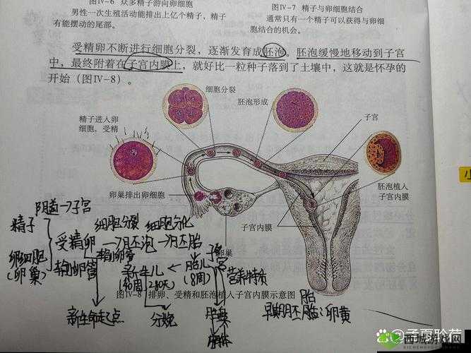 生物课当着全班人的面做到高网传增加收费限制,平台:保护个人隐私和知识版权的必要举措