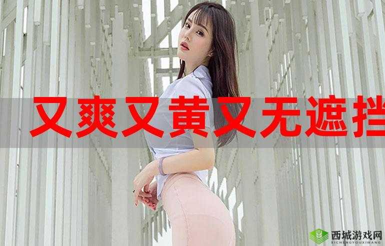 很黄很色又爽很黄很色又爽:揭秘让人欲罢不能的视觉盛宴与情感体验