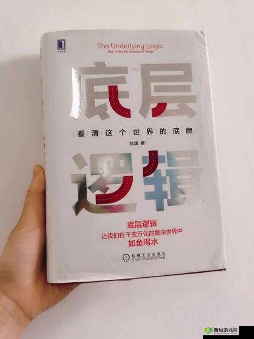 风云岛行动大锅战备选择推荐,底层逻辑与操作映射